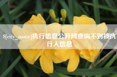 黄骅执行信息公开网查询不到被执行人信息