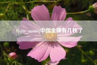 黄骅中国金牌有几枚了