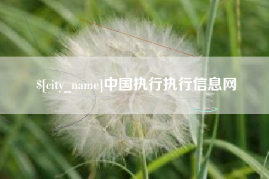 黄骅中国执行执行信息网