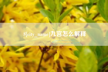 黄骅九宫怎么解释