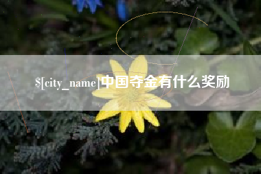 黄骅中国夺金有什么奖励