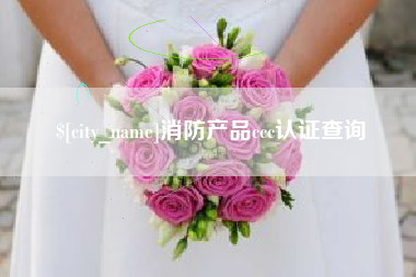 黄骅消防产品ccc认证查询