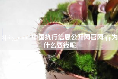 黄骅中国执行信息公开网官网app为什么要钱呢