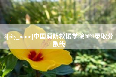 黄骅中国消防救援学院2021录取分数线