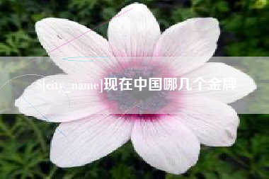 黄骅现在中国哪几个金牌