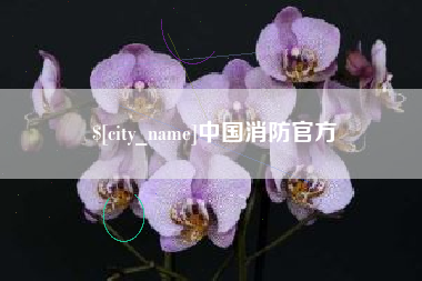 黄骅中国消防官方