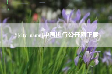 黄骅中国执行公开网下载