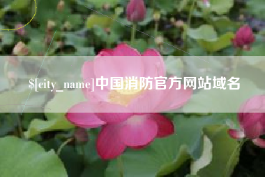 黄骅中国消防官方网站域名