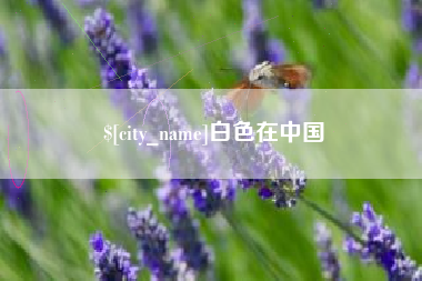 黄骅白色在中国