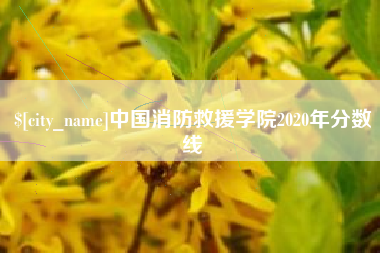 黄骅中国消防救援学院2020年分数线