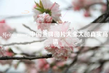 黄骅中国金牌图片大全大图真实高清