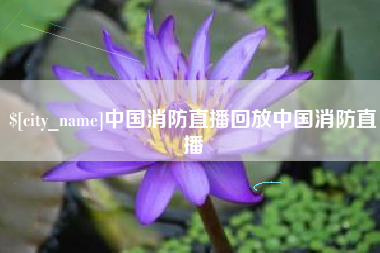黄骅中国消防直播回放中国消防直播