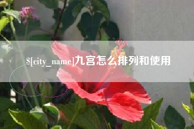 黄骅九宫怎么排列和使用