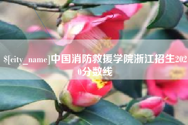 黄骅中国消防救援学院浙江招生2020分数线