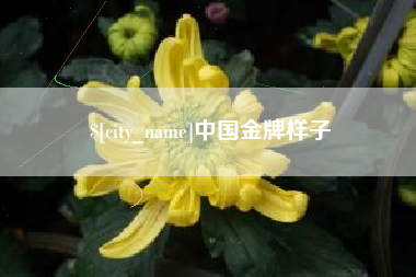 黄骅中国金牌样子