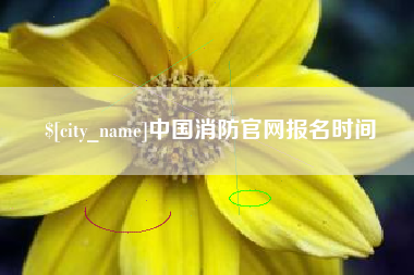 黄骅中国消防官网报名时间