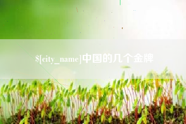 黄骅中国的几个金牌