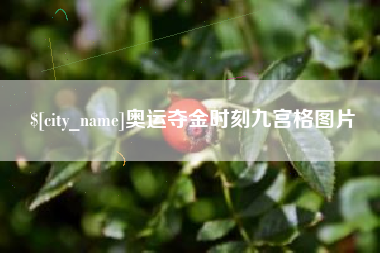 黄骅奥运夺金时刻九宫格图片