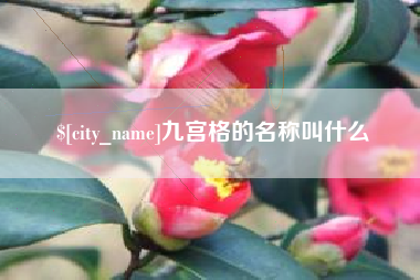 黄骅九宫格的名称叫什么