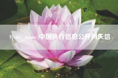 黄骅中国执行信息公开网失信
