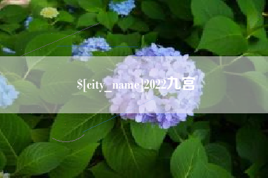 黄骅2022九宫