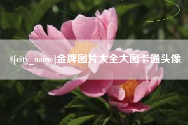 黄骅金牌图片大全大图卡通头像