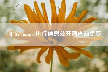 黄骅执行信息公开网查询免费