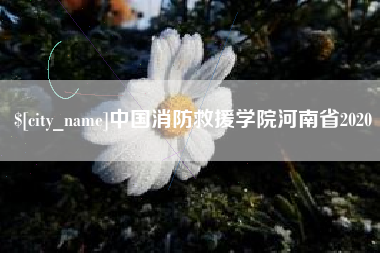 黄骅中国消防救援学院河南省2020